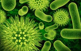 virus-and-bacteria
