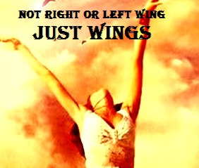 just wings